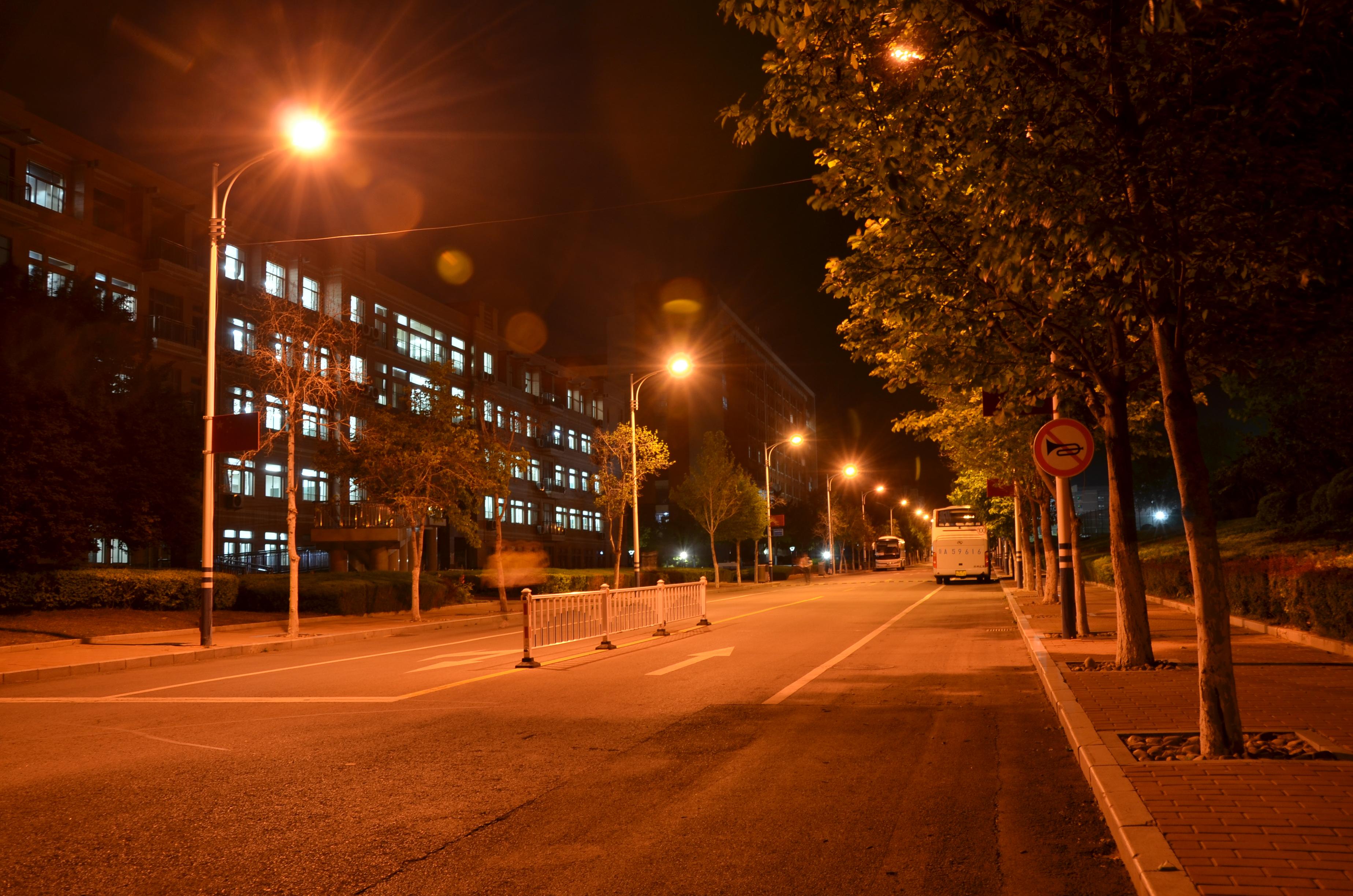 白玉兰路 白玉兰路